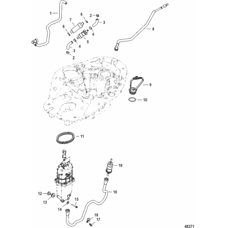 Br�nsleslang Mercury