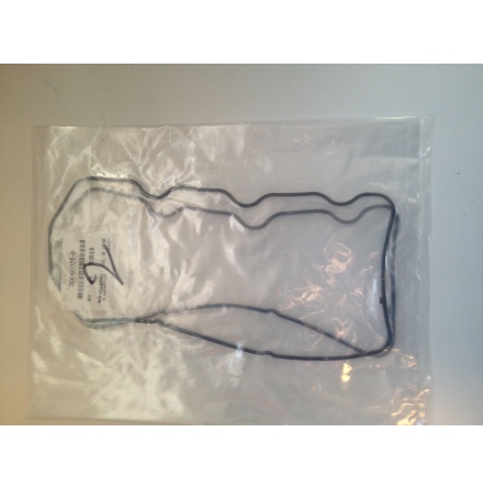 Ventilk�pspackning Tohatsu