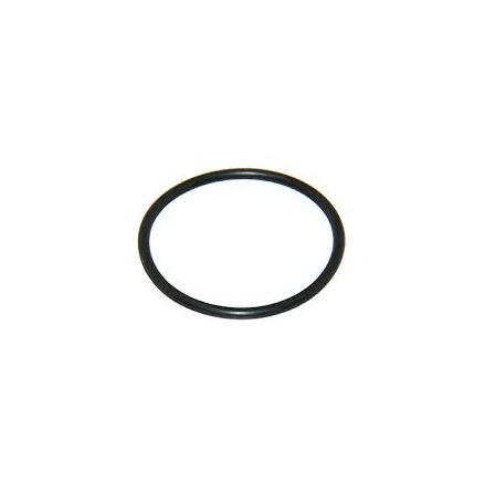 O-ring Mercury