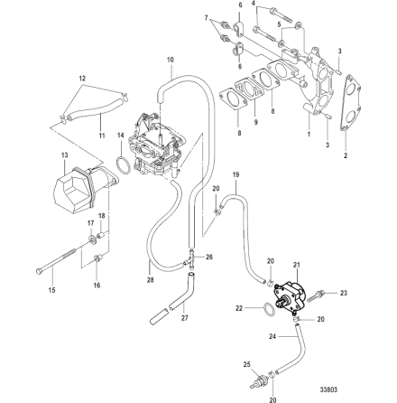 Br�nsleslang Mercury