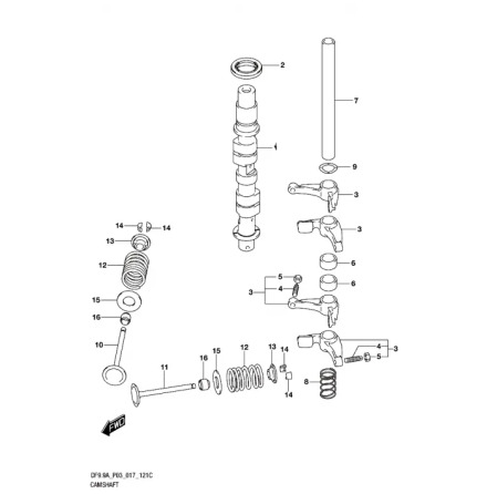 Distans kamvippa Suzuki