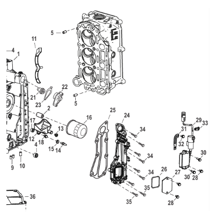 Avgaspackning Tohatsu