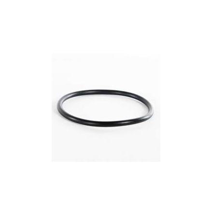 O-ring Mercury