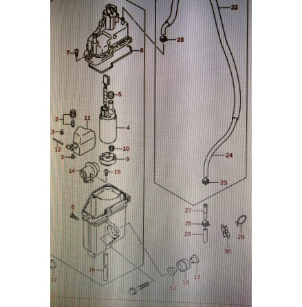 Br�nsleslangskarv Suzuki